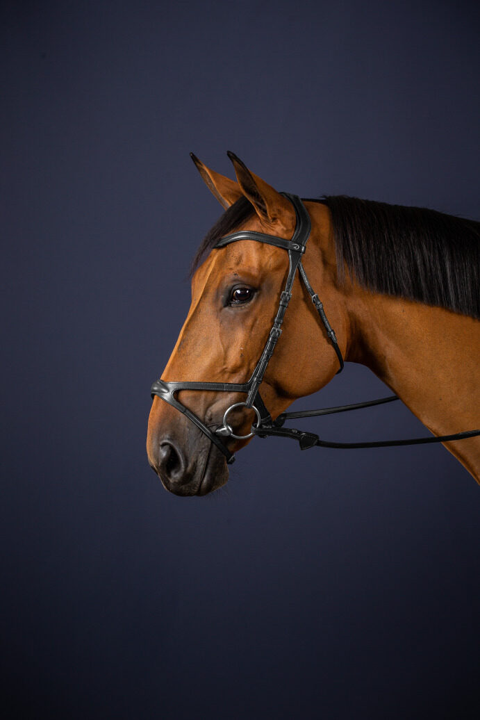 Dyon New English Collection X-fit anatomic bridle Black