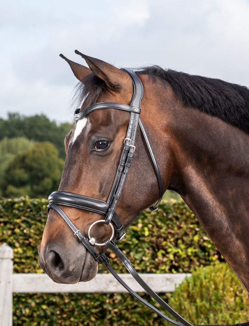 Dyon Dressage Bridle with matte medium noseband black
