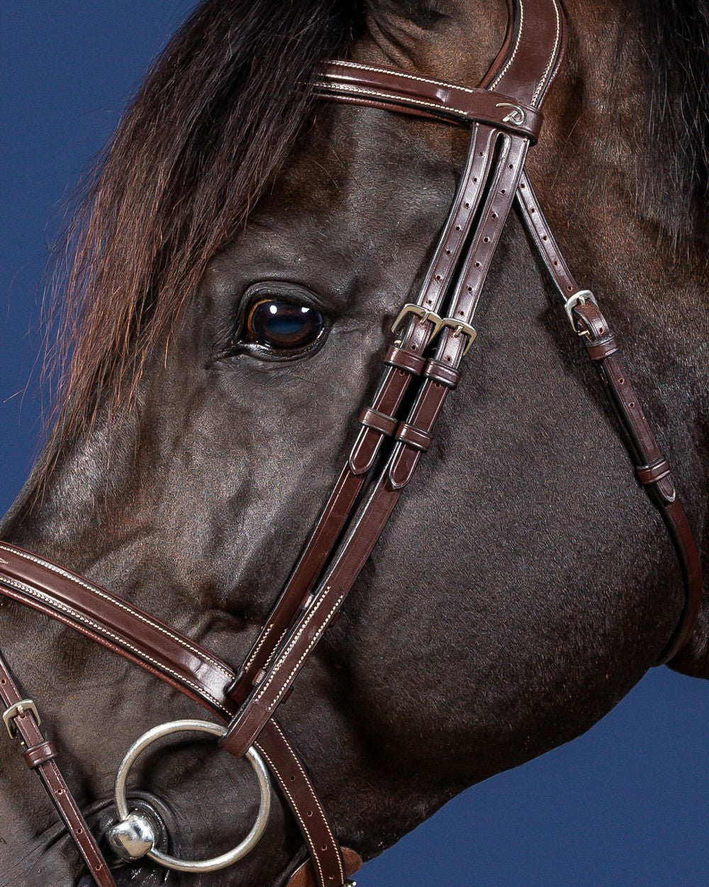 Dyon US Jumping hoofdstel gecombineerde neusriem bruin