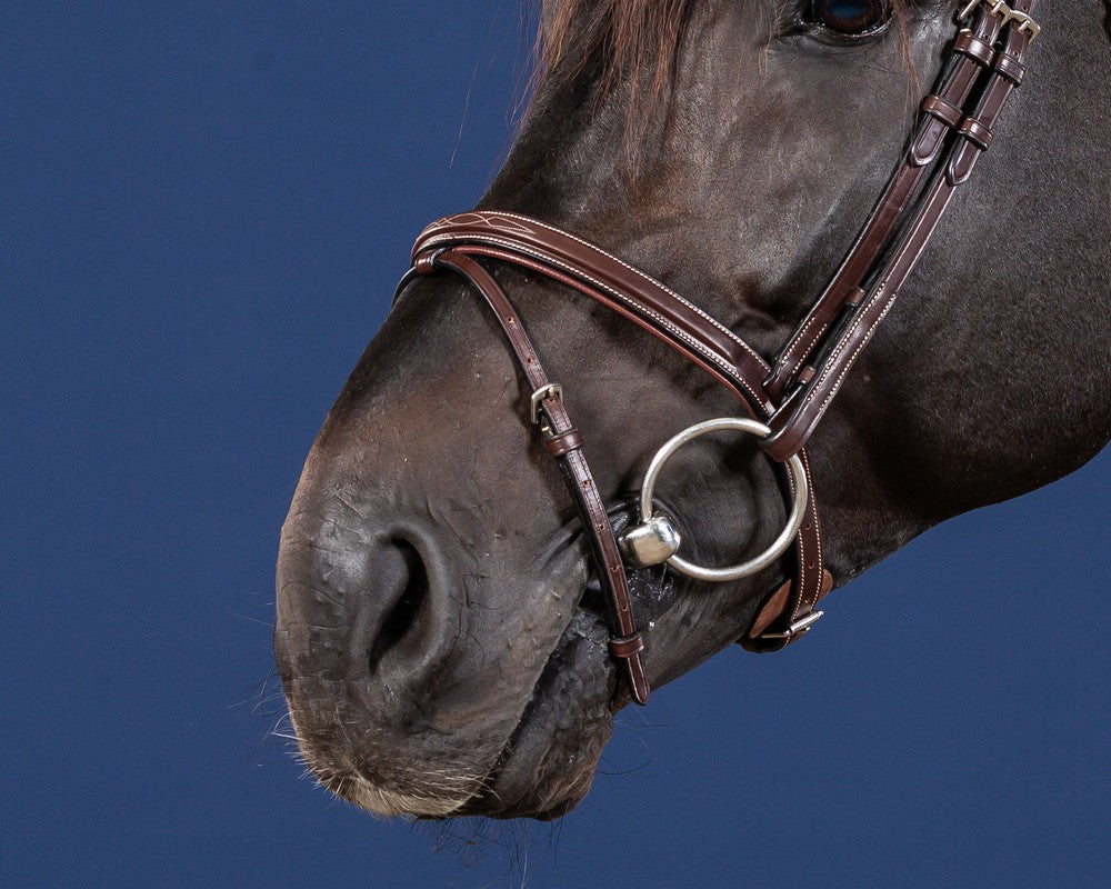 Dyon US Jumping hoofdstel gecombineerde neusriem bruin