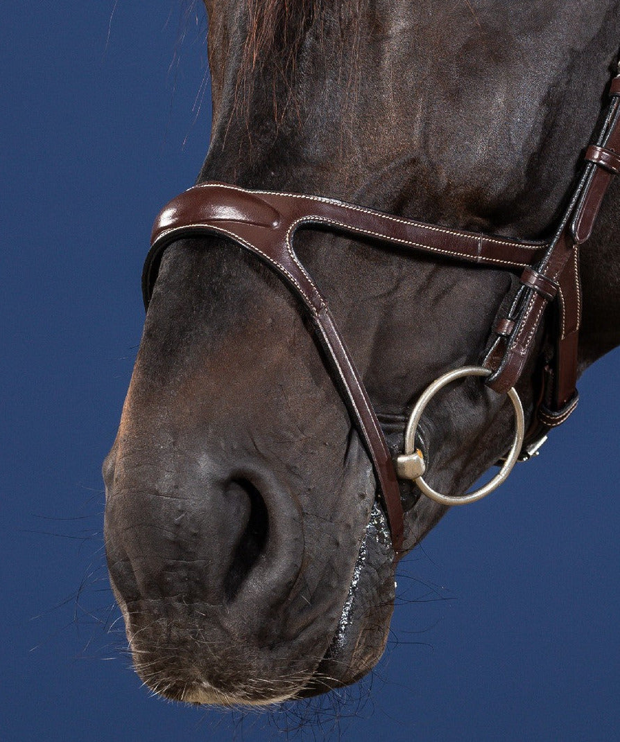 Dyon US Jumping X-Fit Bridle Brown