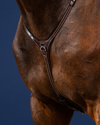 Dyon US Collection martingale Yoke Brown