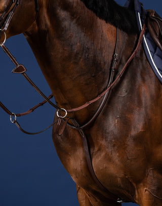 Dyon US Collection Running Martingale Brown