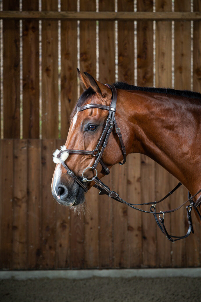 Dyon Working Collection figure 8 noseband bridle Black