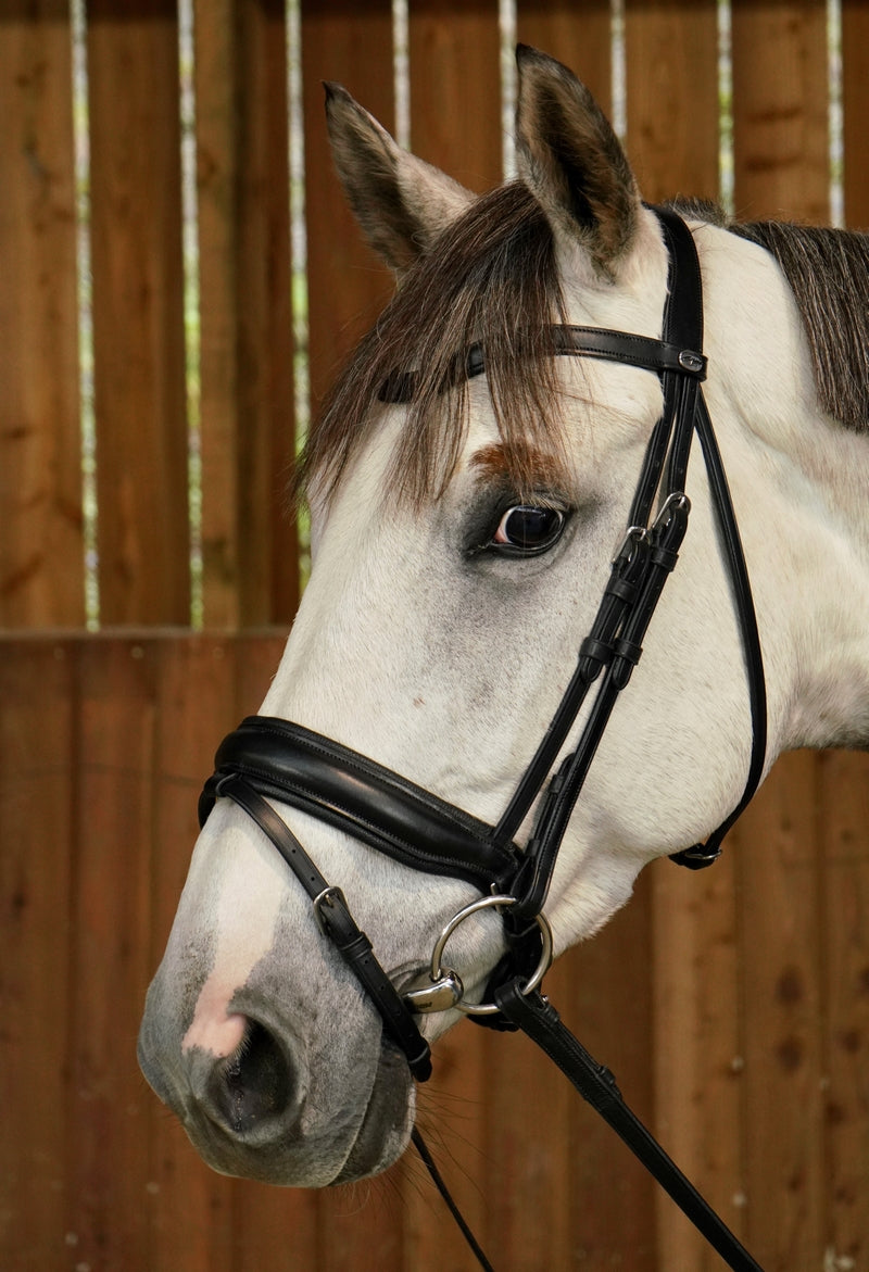 Dyon Working Collection Large Crank Noseband bridle Matt Black