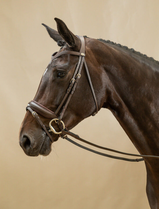Dyon Working Collection Large Crank Noseband bridle Matt Brown