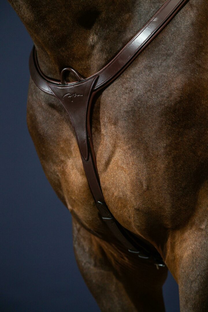 Dyon New English Collection breastplate long bridge Brown
