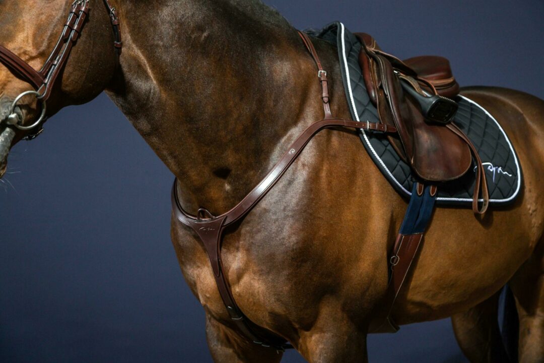 Dyon New English Collection breastplate long bridge Brown