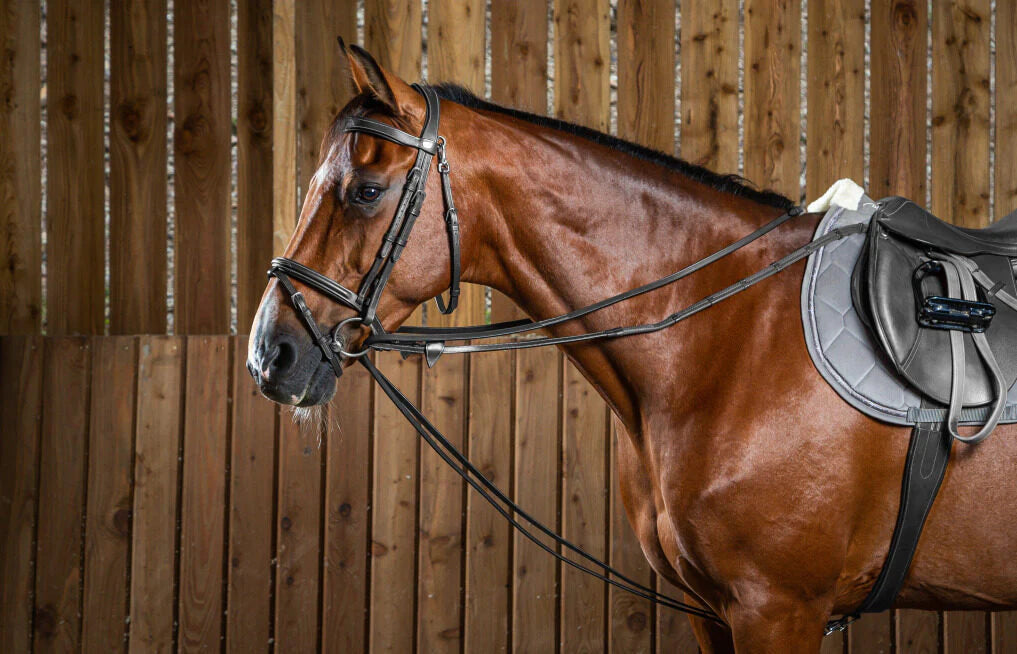 Dyon Working Collection draw reins leather black