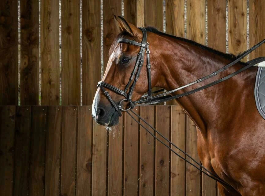 Dyon Working Collection draw reins leather/nylon black