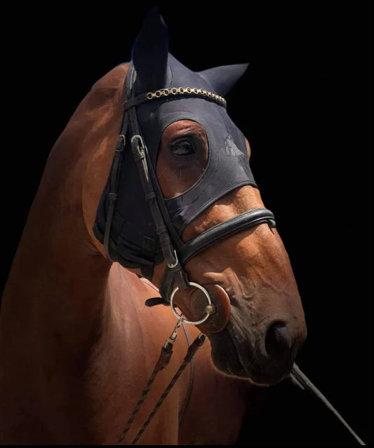 Fenwick maskers: een revolutie in de paardensport
