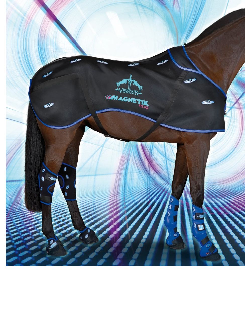 Zijn magnetische producten en magneettherapie iets voor je paard?