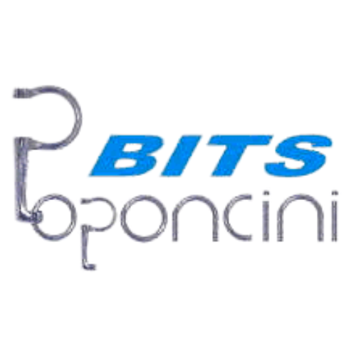 Logo Poponcini bits