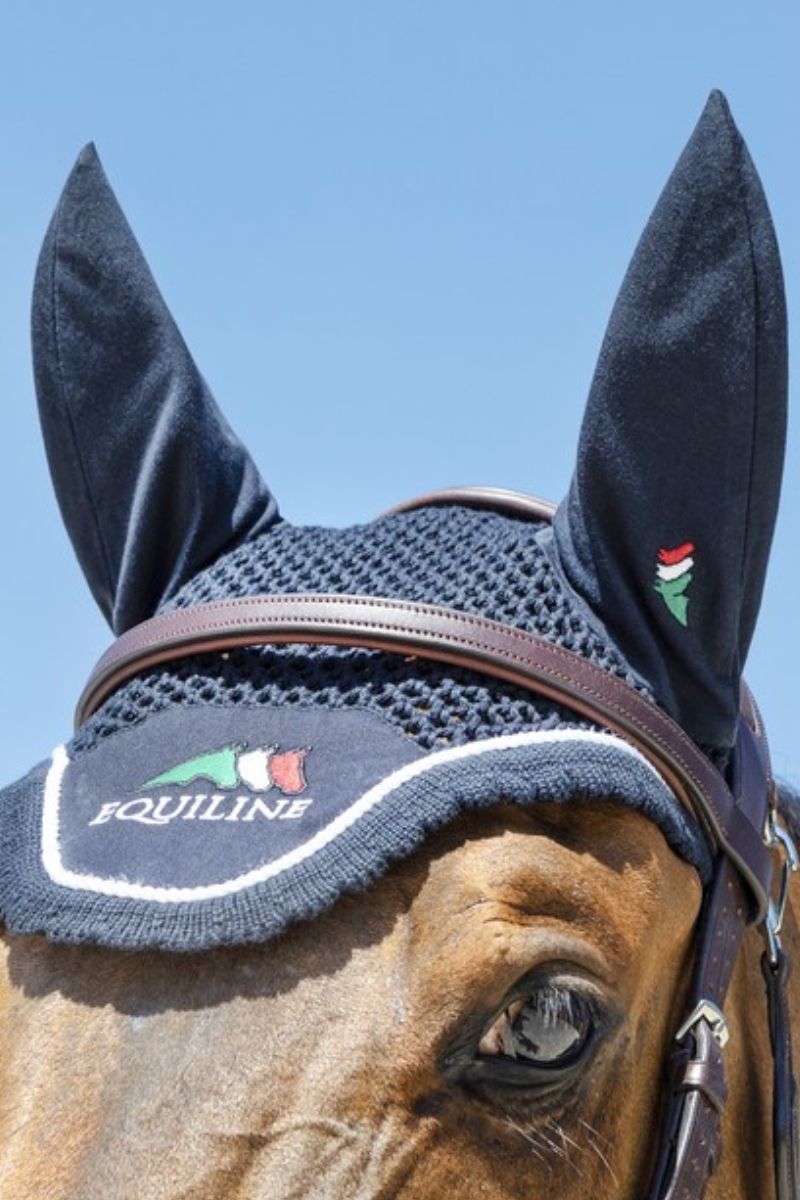 Vliegenbescherming paard
