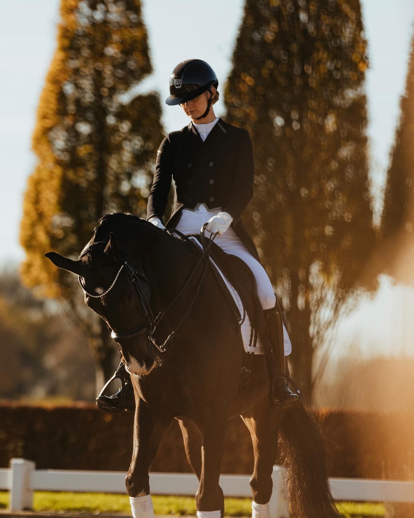 Samshield Dressage Tight Ladies Crystal Fabric navy