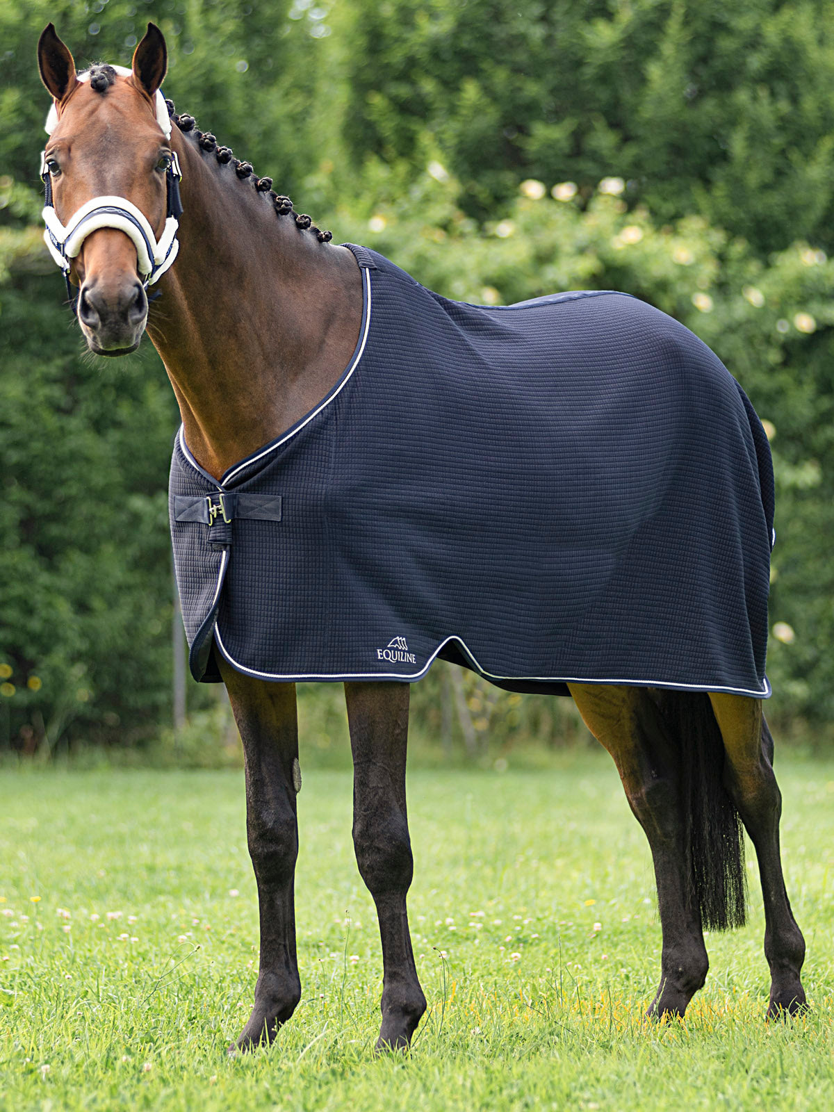 Equiline Coolerer rug Climate Control