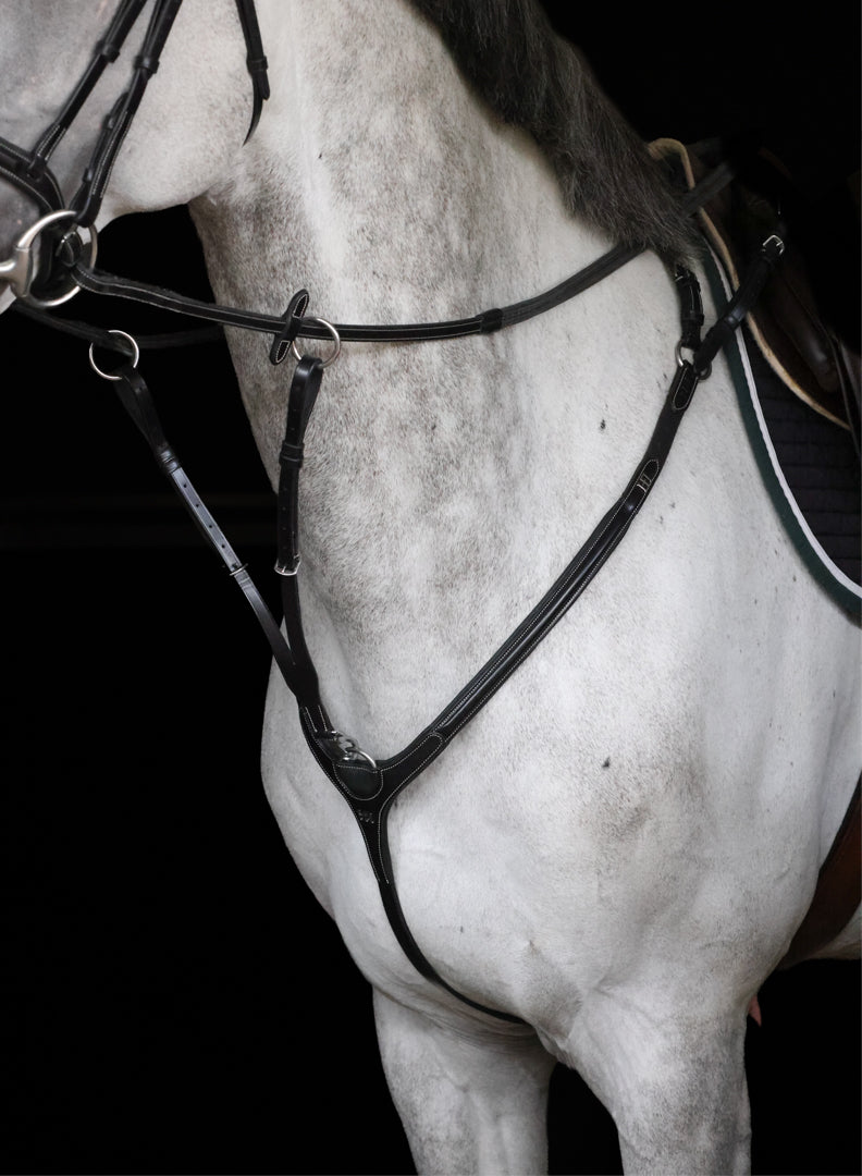 HFI Pro Line Breastplate Aosta with Martingale