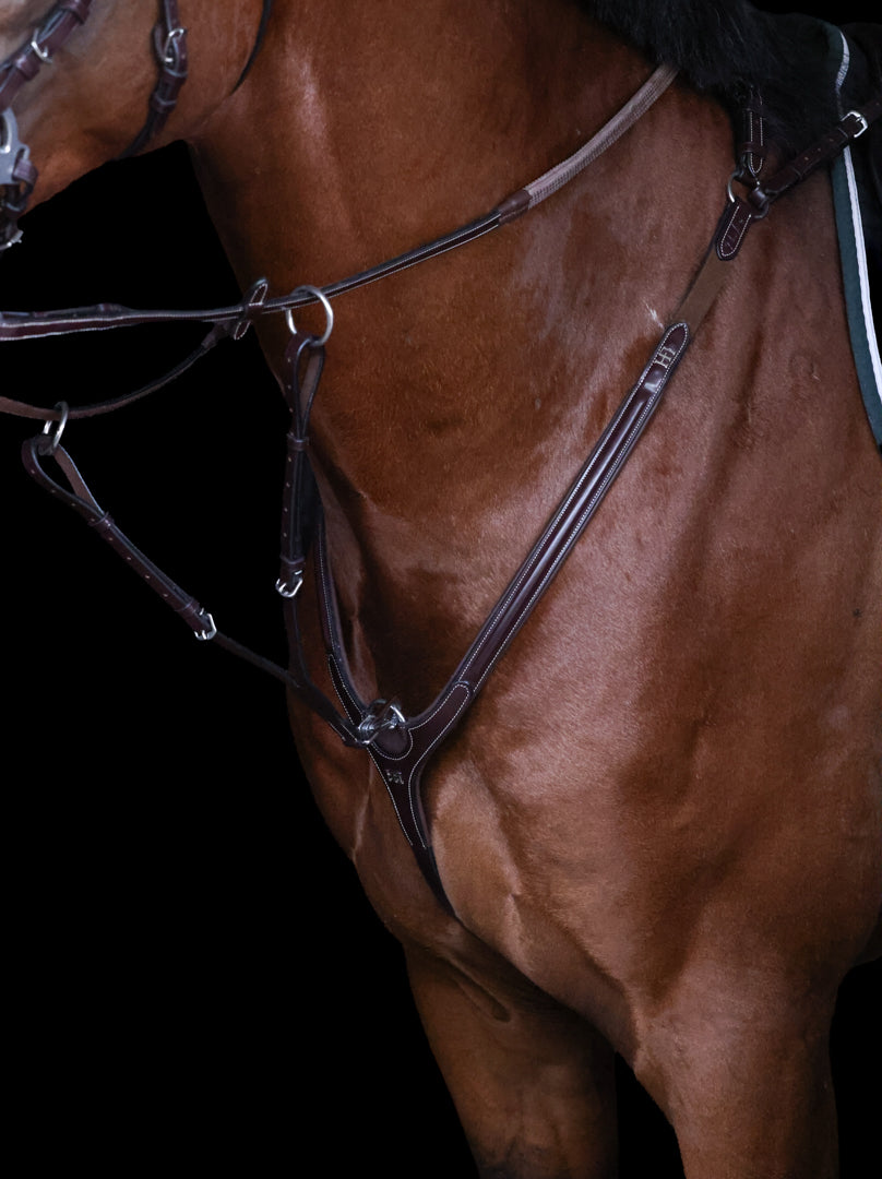 HFI Pro Line Breastplate Aosta with Martingale