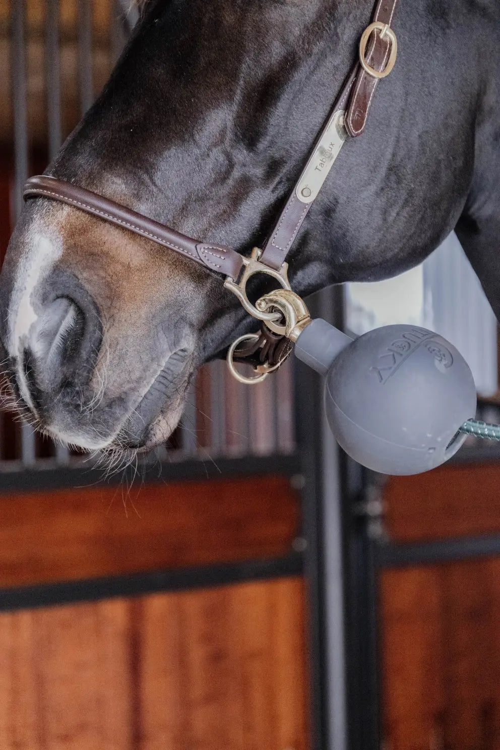 Kentucky Horsewear Rubber Ball Protection wall & lead Grey