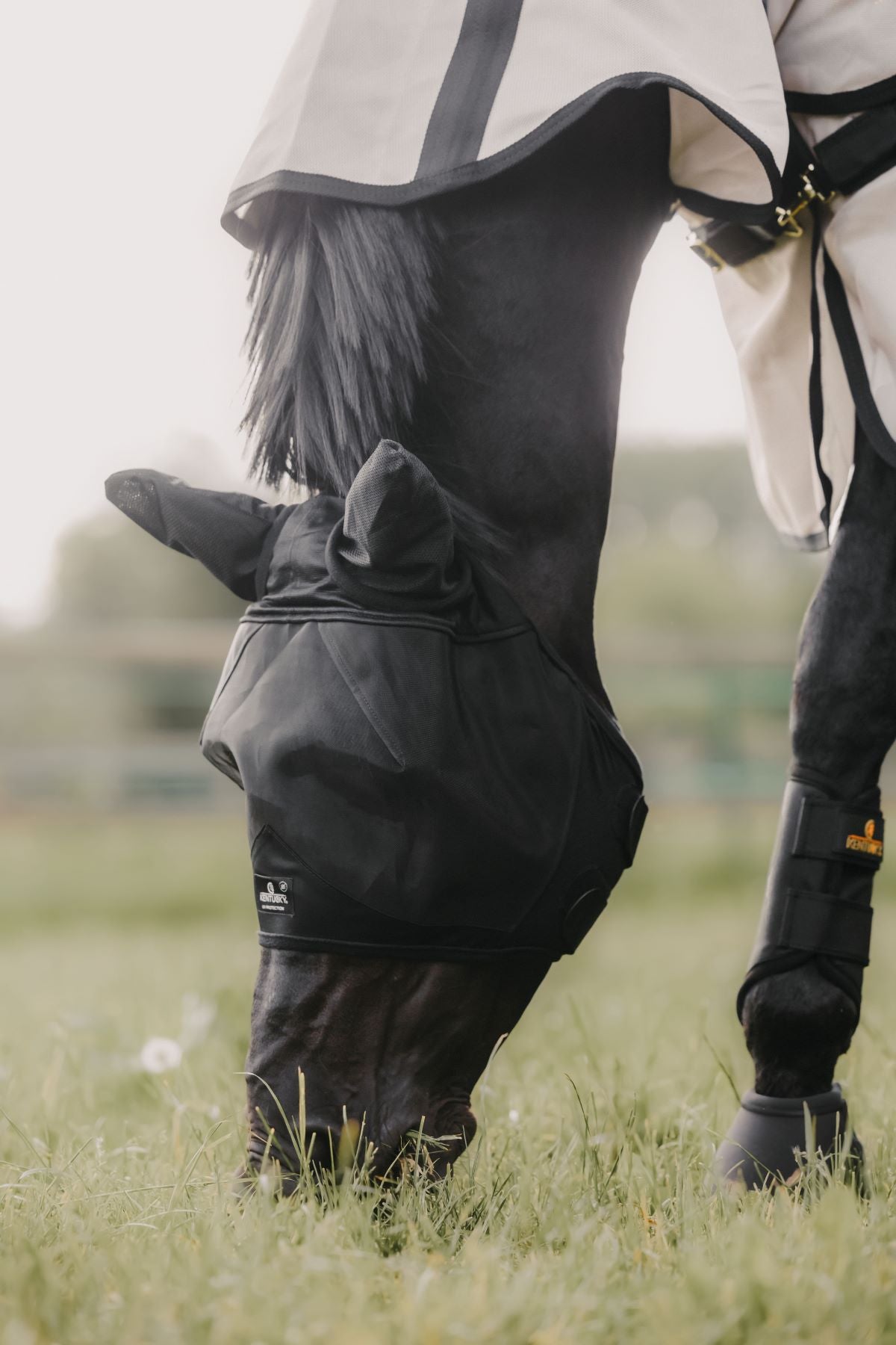 Kentucky Horsewear fly mask Classic with ears Black