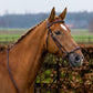 TRUST bridle Barcelona drop noseband golden buckles Brown