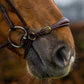 TRUST bridle Barcelona drop noseband golden buckles Brown