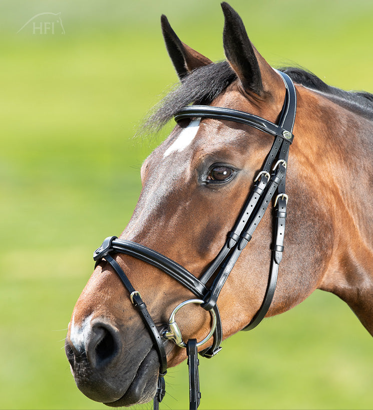 HFI Bridle Anatomic