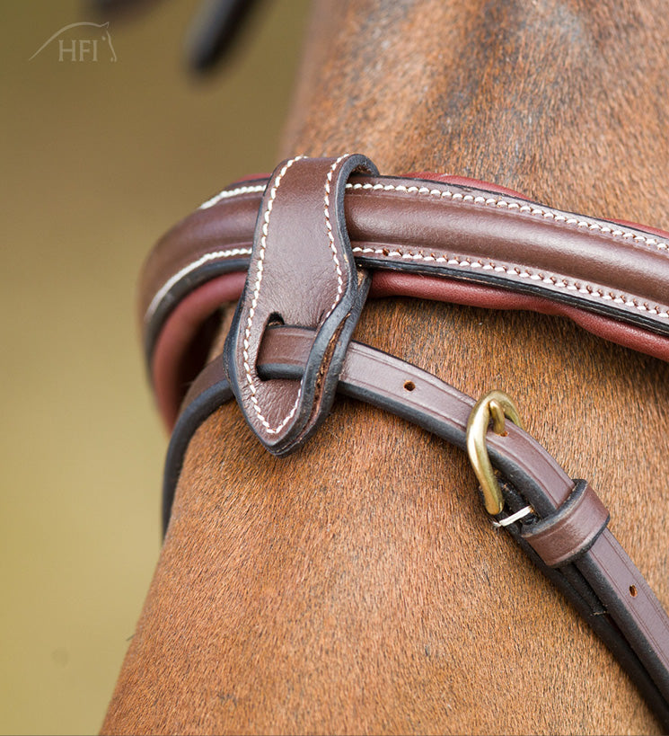 HFI Bridle Anatomic