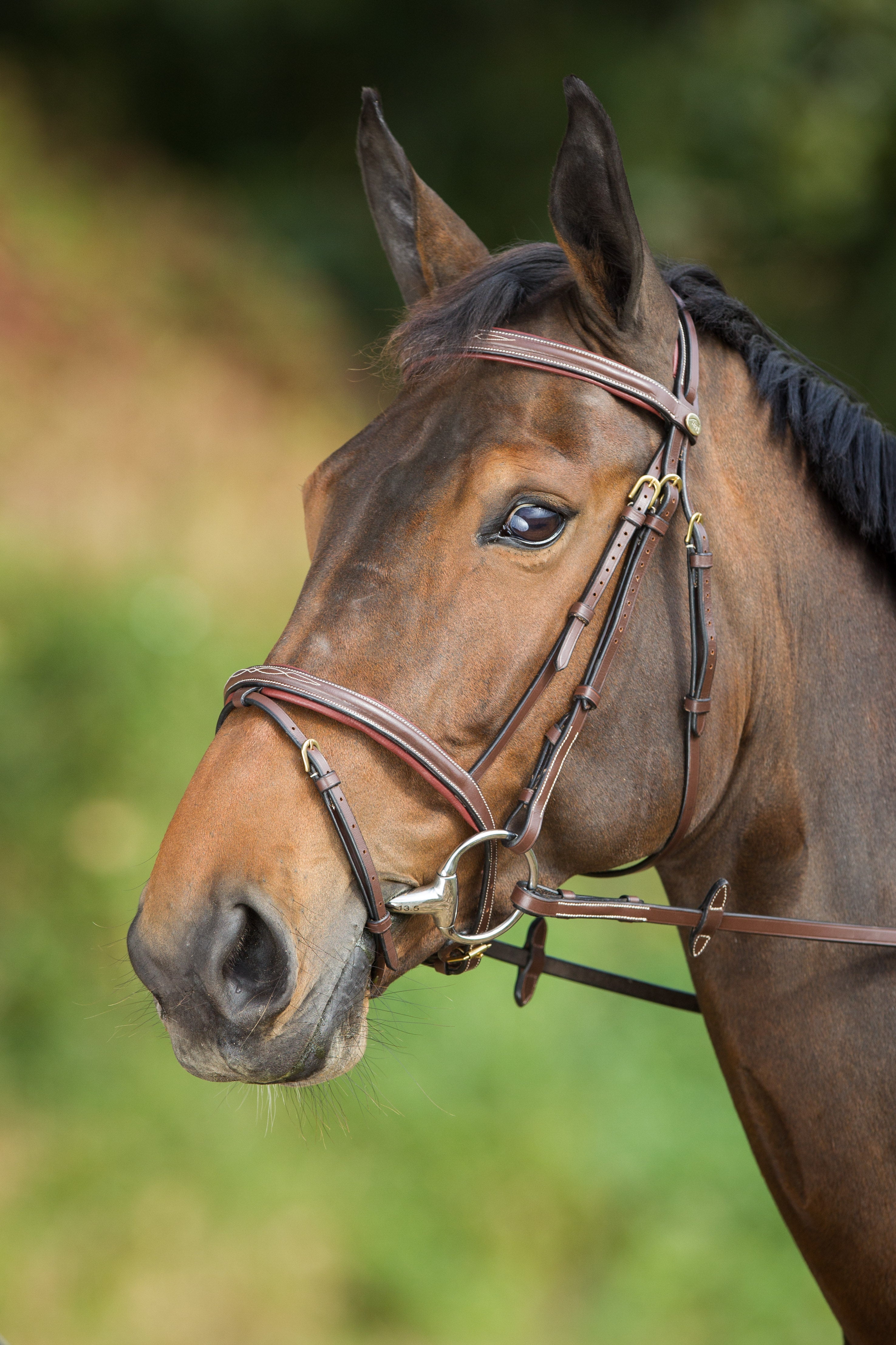 HFI Hoofdstel Comfort Bruin