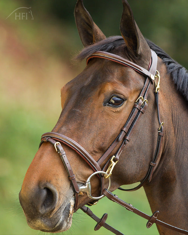 HFI Training Bridle Functional