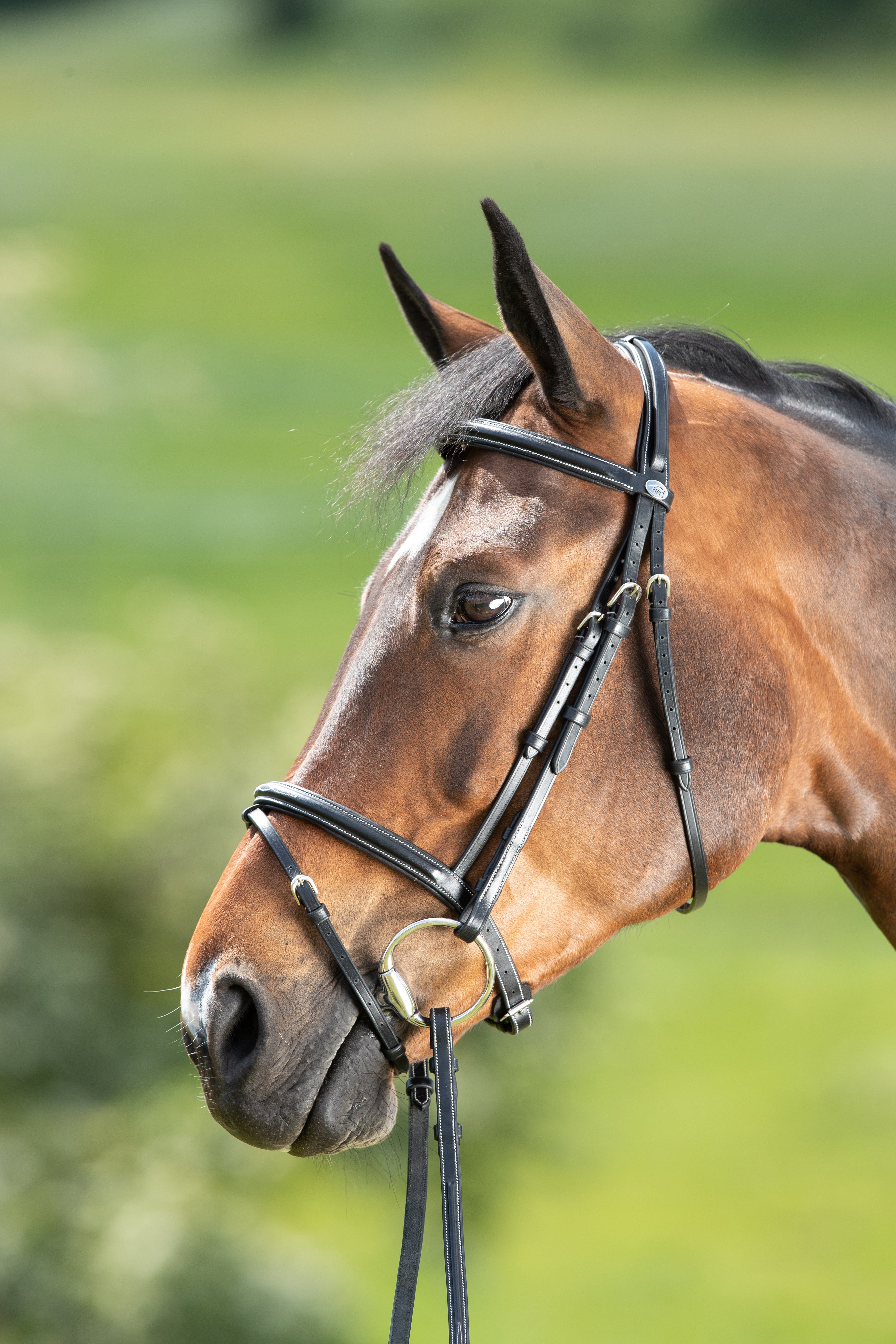 HFI Hoofdstel Comfort Zwart