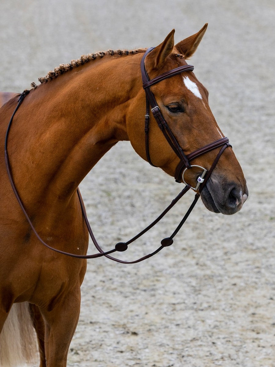 TRUST bridle Calgary combined noseband silver buckle Brown