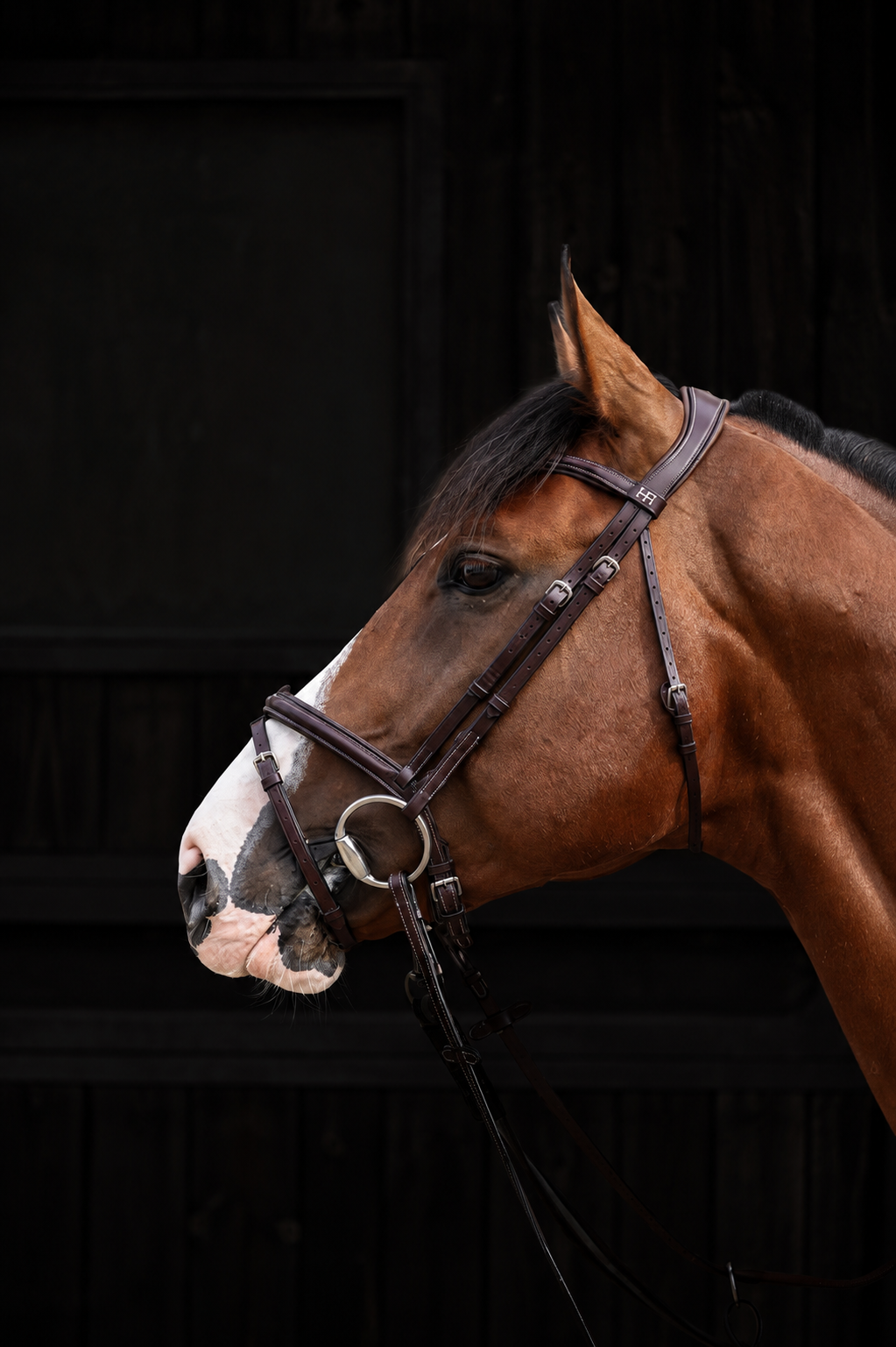 HFI Pro Line Bridle Merano