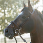 TRUST Training Bridle Hamburg Brown