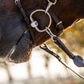 TRUST Training Bridle Hamburg Brown