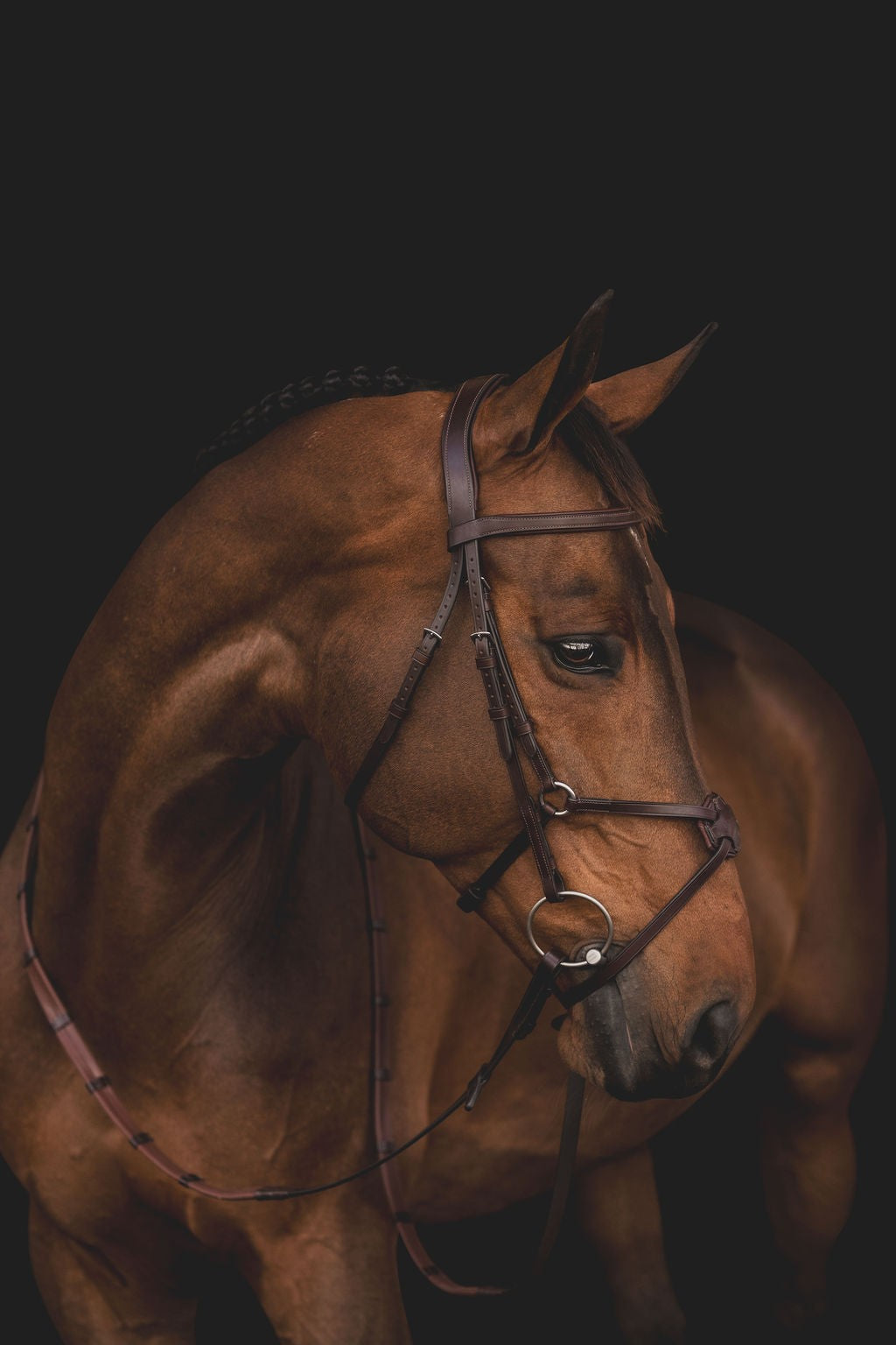 Equiline Hoofdstel Classic mexicaanse neusriem Bruin Full