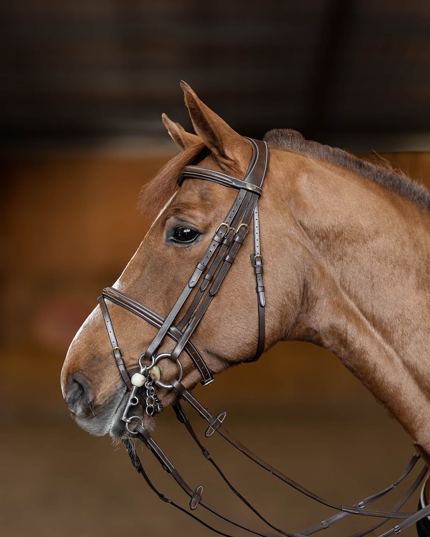 HFI Double Bridle Jumping