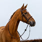 TRUST bridle Dublin leather covered rope noseband gold buckle Brown