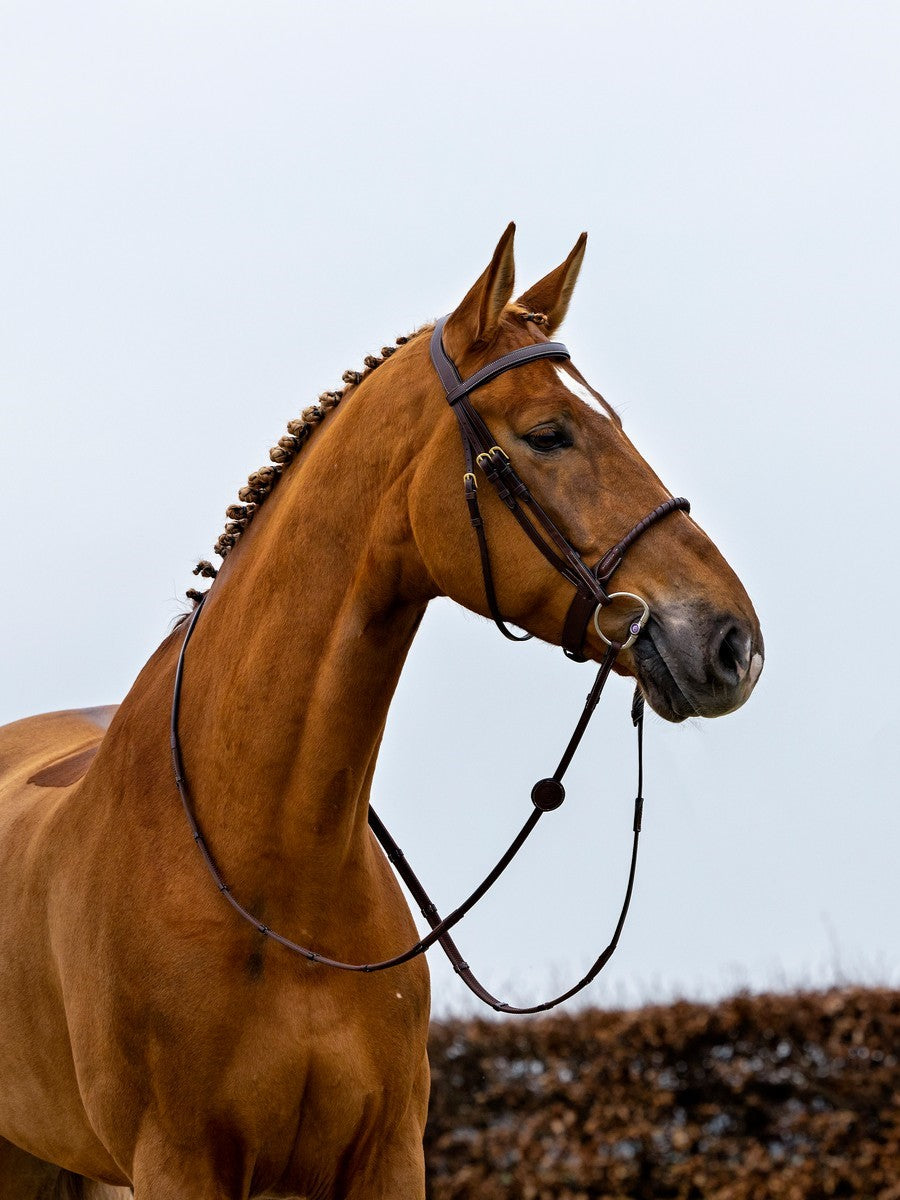 TRUST bridle Dublin leather covered rope noseband gold buckle Brown