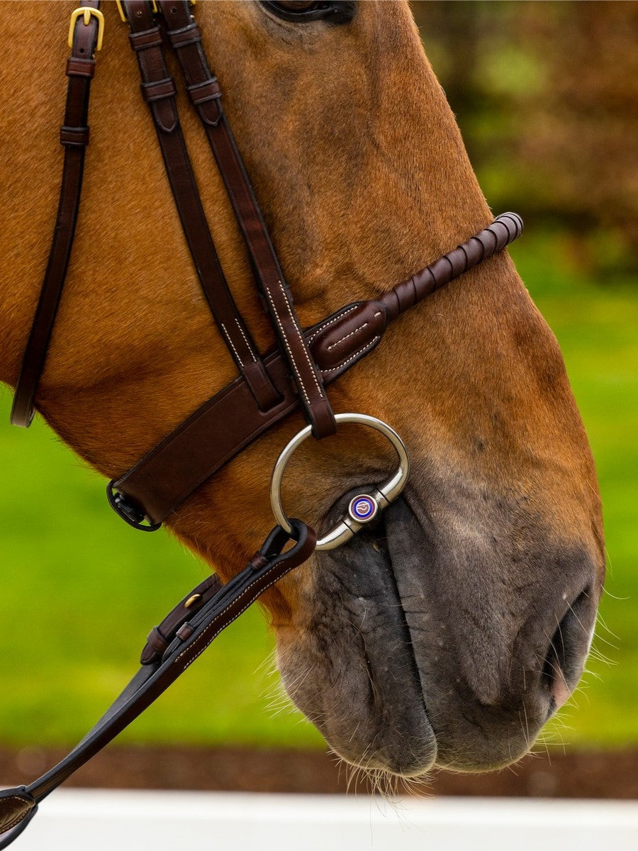 TRUST bridle Dublin leather covered rope noseband gold buckle Brown