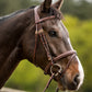 TRUST bridle Knokke combined noseband gold buckle Brown