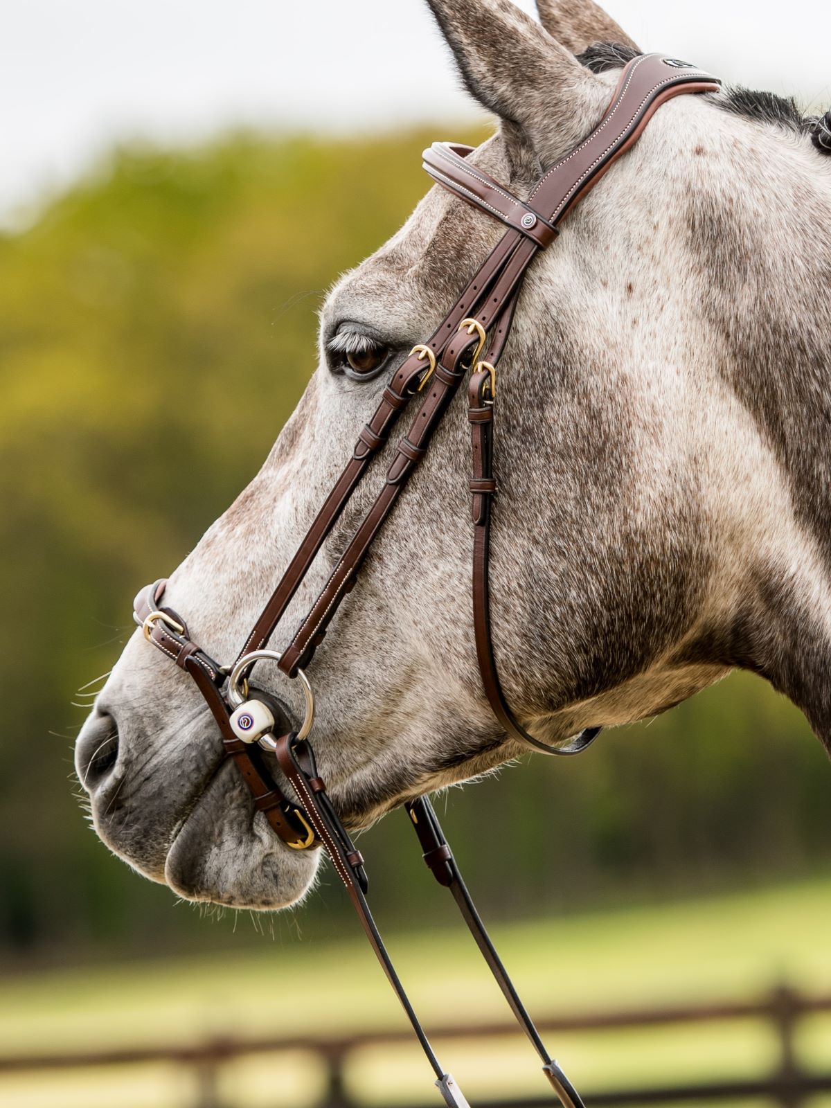 TRUST bridle Barcelona drop noseband golden buckles Brown