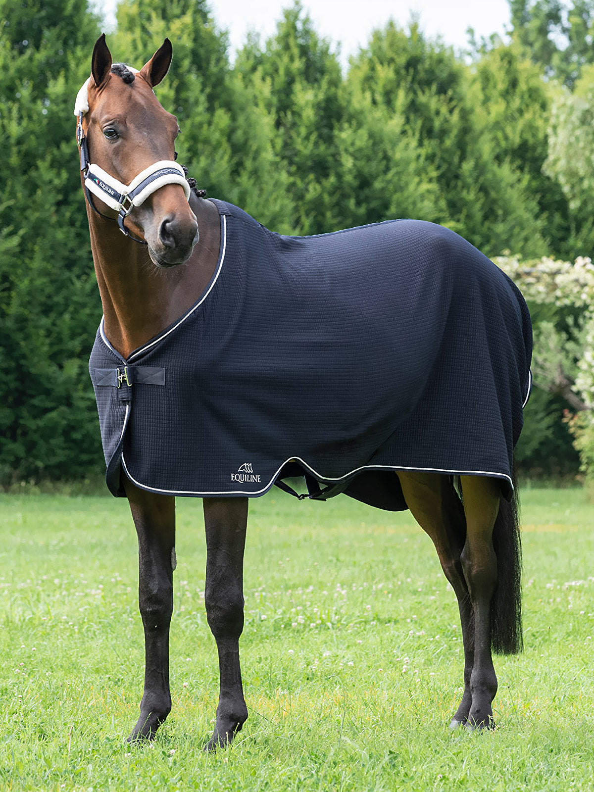 Equiline Coolerer rug Climate Control detachable surcingles