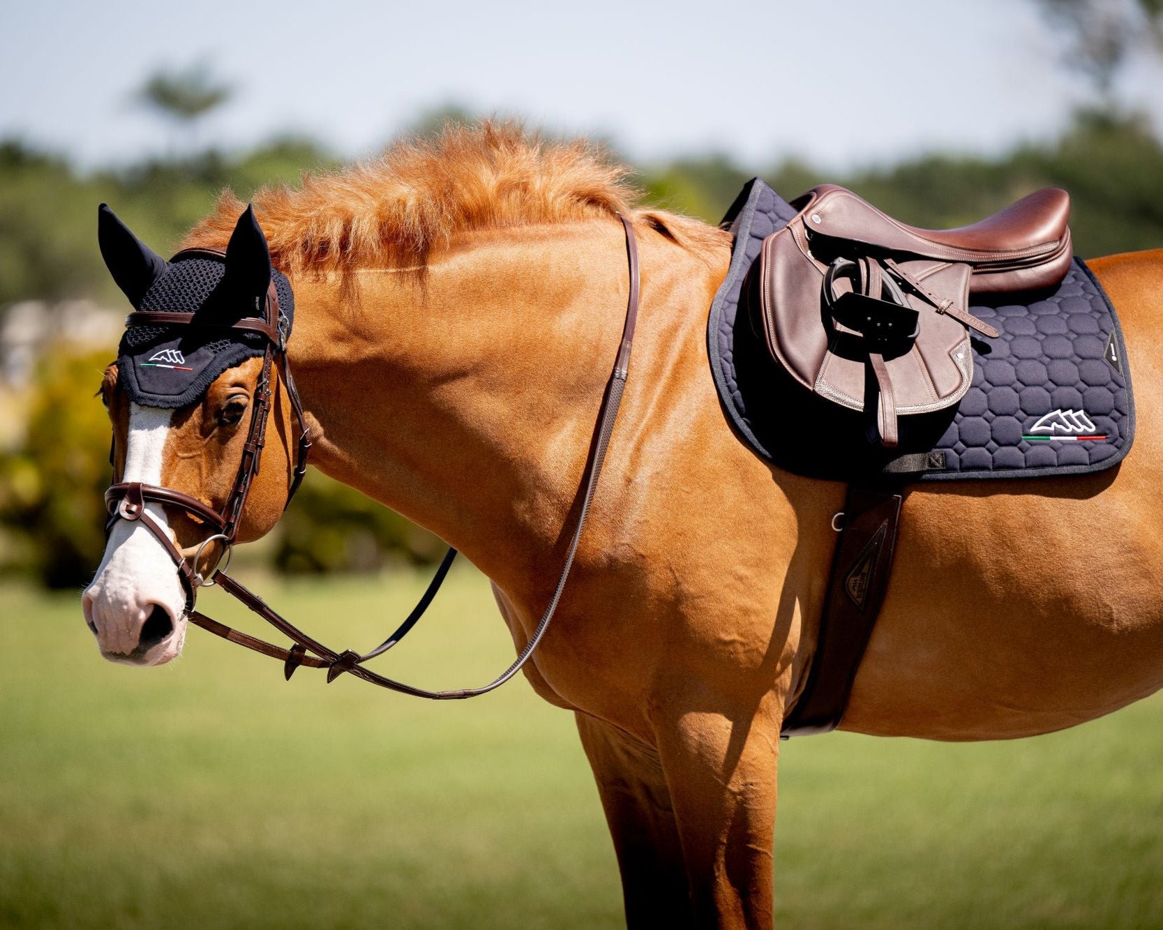Equiline Set Zadeldek en vliegenmuts Eqflaggy Navy Pony