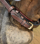 HFI German Hoofdstel met Lage Neusriem