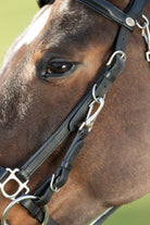 HFI Combo Hoofdstel Halster