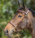 HFI Combo Hoofdstel Halster Bruin