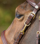 HFI Combo Hoofdstel Halster