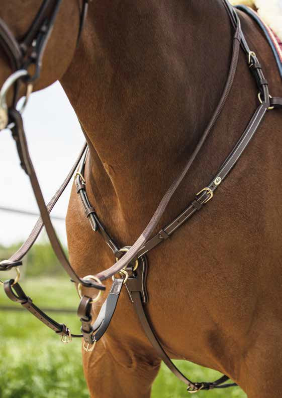 HFI Breastplate Long Bridge with Martingale