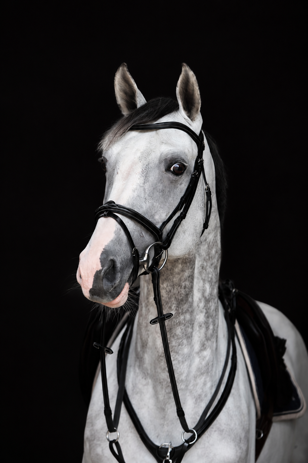 HFI Pro Line Bridle Monza